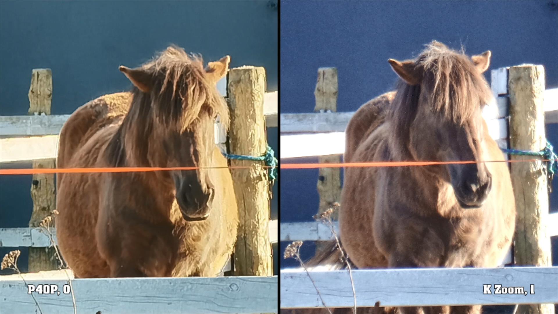 华为p40pro+与三星s20+拍照对比,佳能powershotzoom和华为p40对比