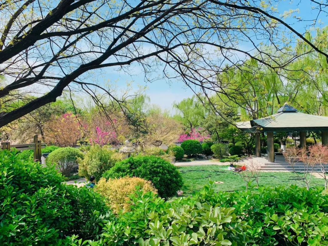 济南适合带孩子去的地方春天,周末遛娃的好去处好玩又免费济南