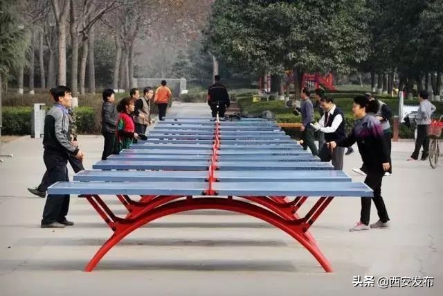 西安教育发布,平安西安最新发布