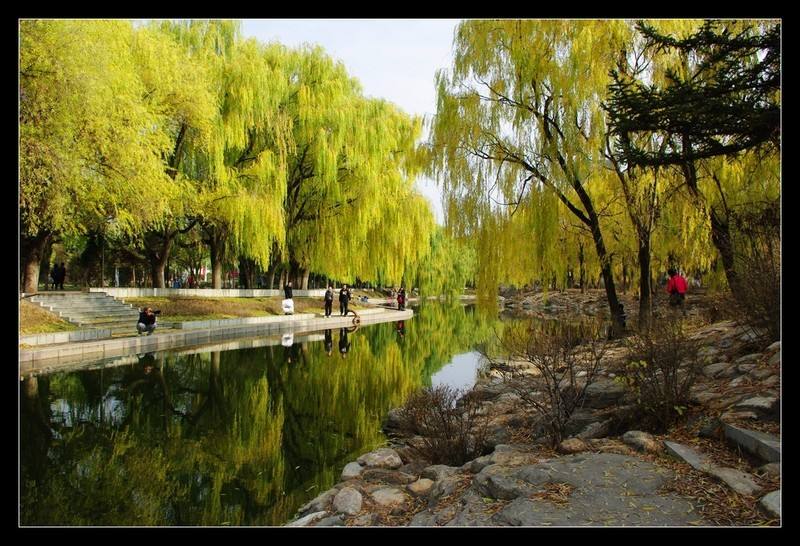 蒙古女英雄嫁给7岁儿子,蒙古第一位女英雄