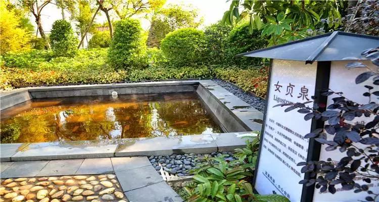 清远夏季温泉有哪些景点,清远最浪漫最漂亮的温泉