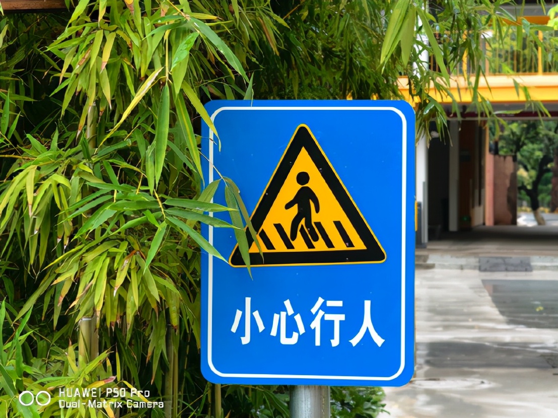 华为p50pro拍照很一般,华为p50pro和mate40哪个好