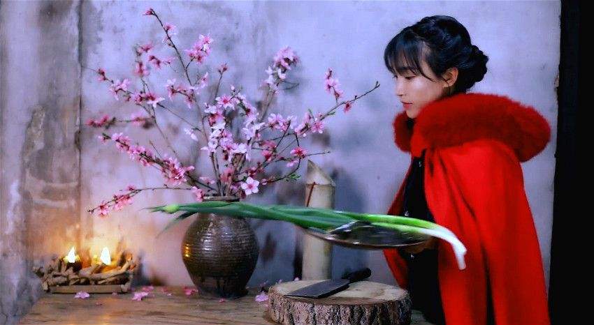 李子柒乡村振兴大使,李子柒乡村文化振兴