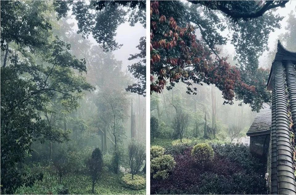 武大师兄弟复活湘西秘境，1块钱就能入股