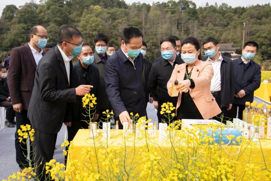 婺源油菜花节,2023婺源油菜花节