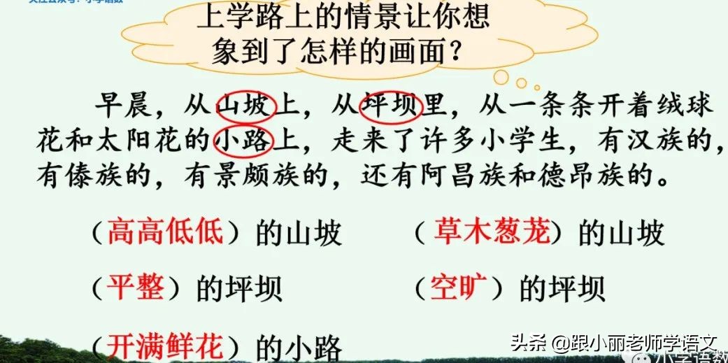大青树下的小学重要背诵内容,大青树下的小学必会知识点