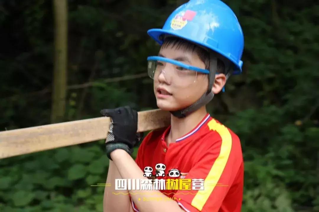 厉害了!这几个小学生竟然花了5天时间在森林里造了一个......