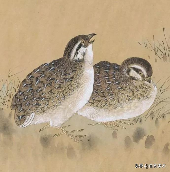 陈之佛工笔花鸟作品临摹,陈之佛工笔牡丹作品图片