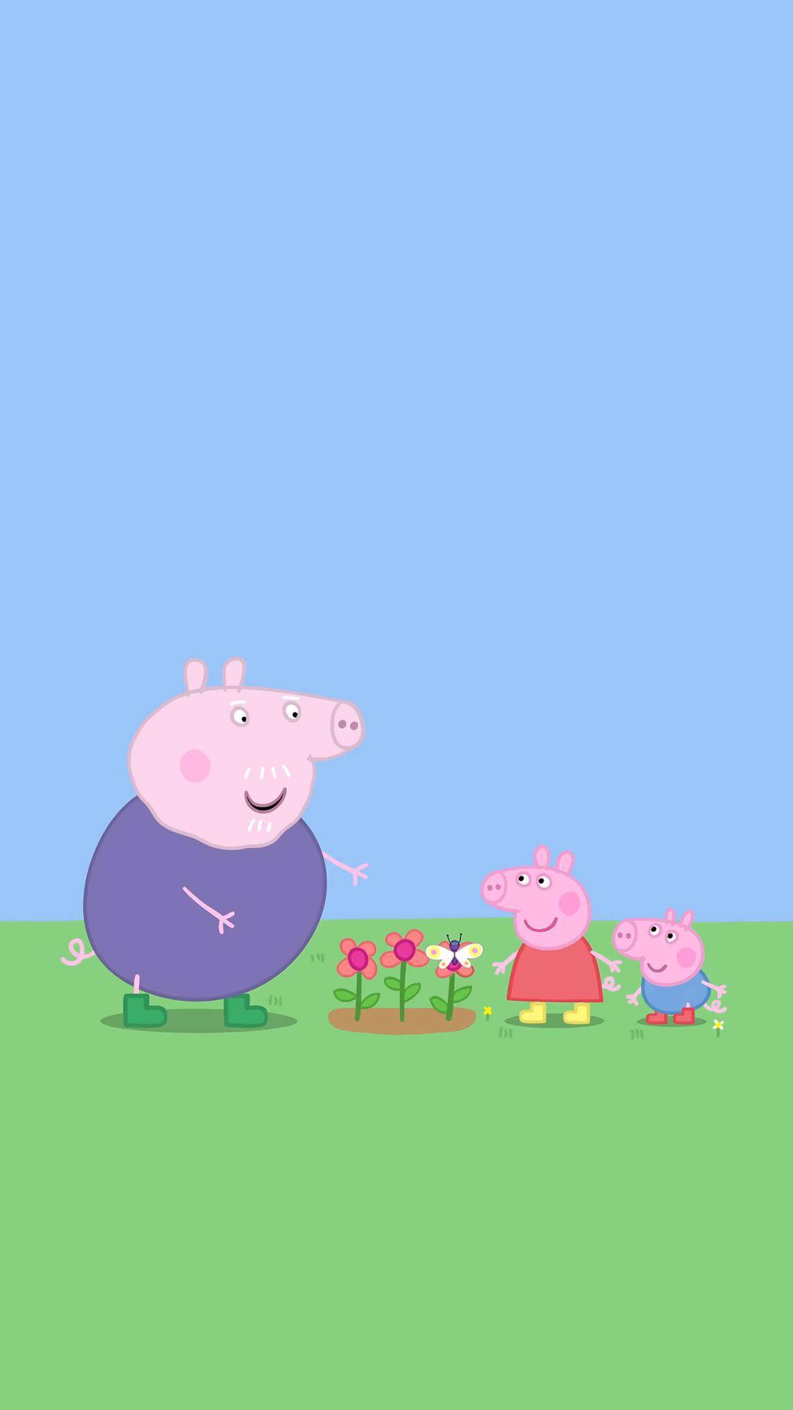 小猪佩奇运动图片大全,小猪佩奇和他的朋友壁纸