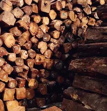 国标红木刺猬紫檀什么意思,刺猬紫檀国标与非国标区别