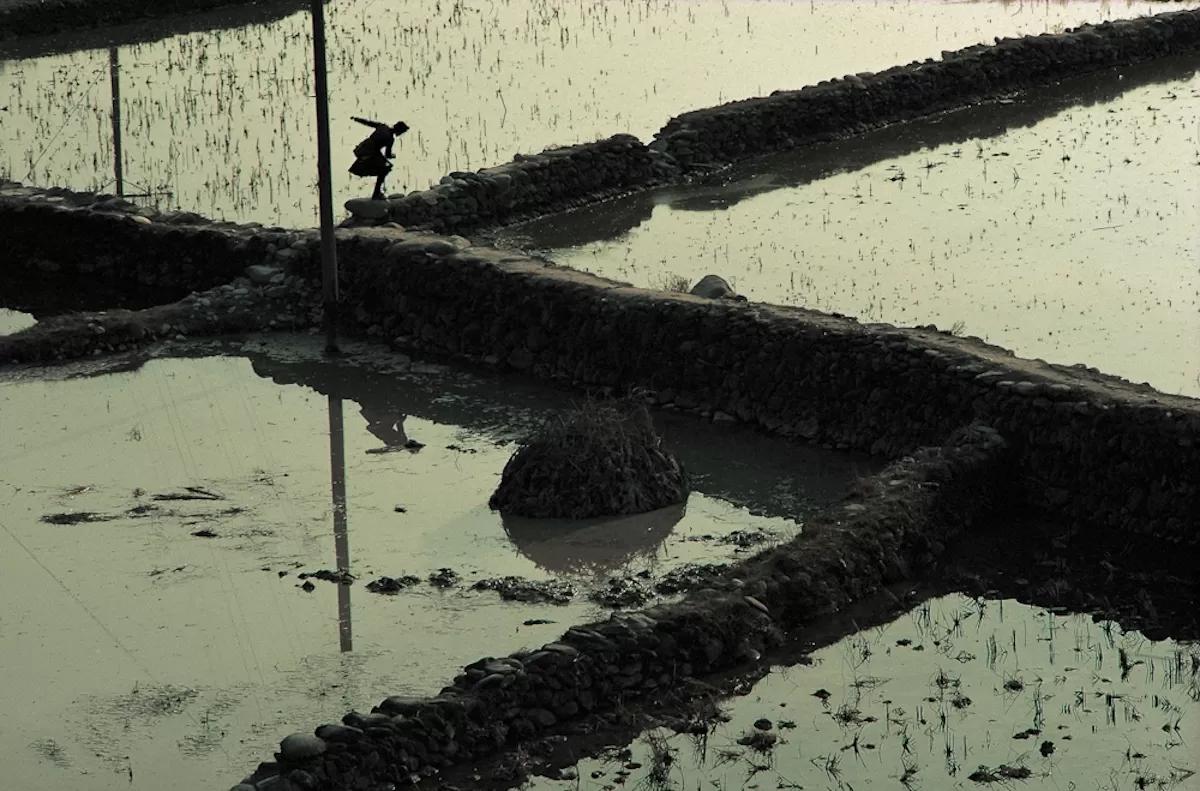 复产“春耕”第三天，张叔手指被折后索赔，对方：“各扫门前雪”