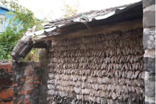 寻找钦州民间大蚝｜达人集结钦州，奔赴山海间的“蚝”门盛宴