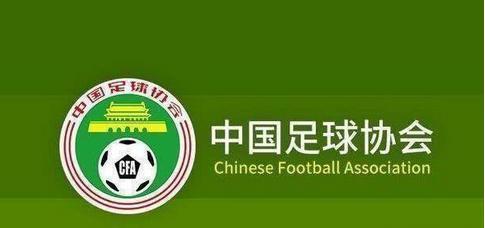 一枚普通球迷聊聊中国足球,足球伪球迷中国篇