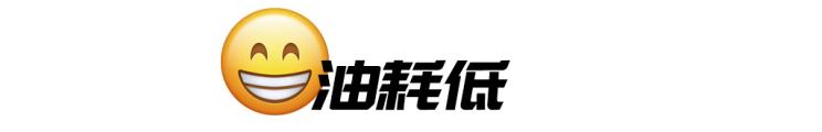 比亚迪实测油耗真的是2.9吗,比亚迪油耗显示16.3
