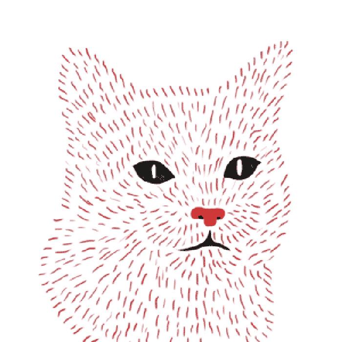 哪个才是猫咪的正确叫声,科普猫咪的不同叫声