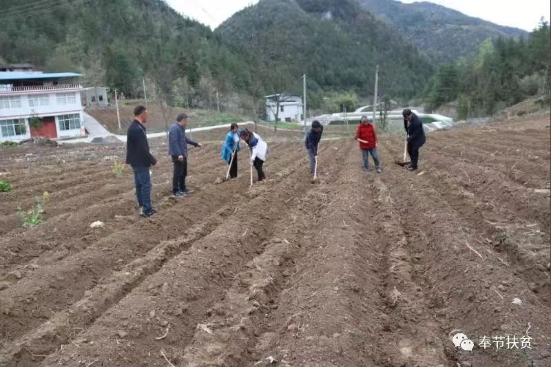 重庆市酉阳县摆手舞,摆手舞重庆