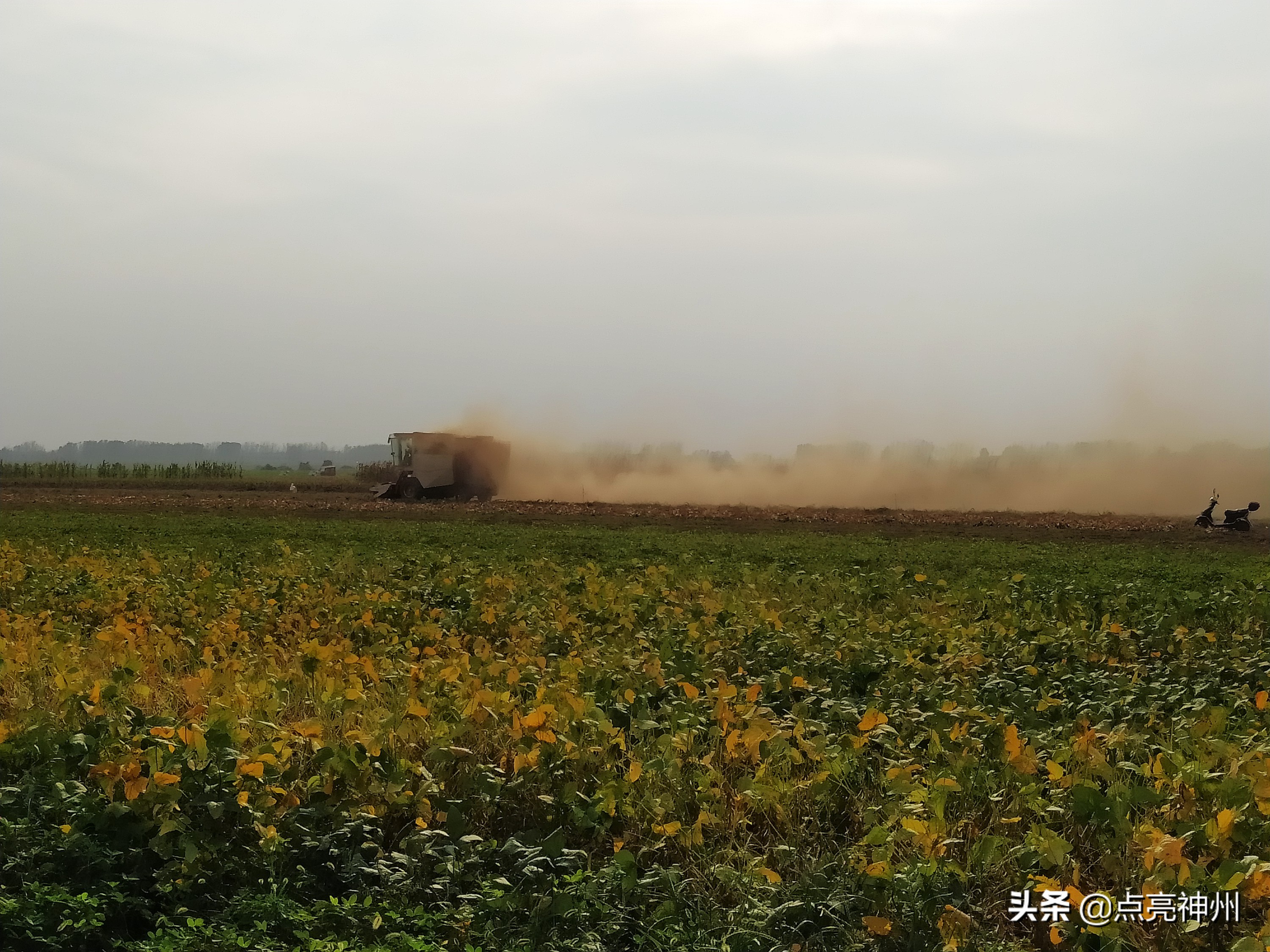 农村收花生的辛苦,下乡收花生挣钱吗