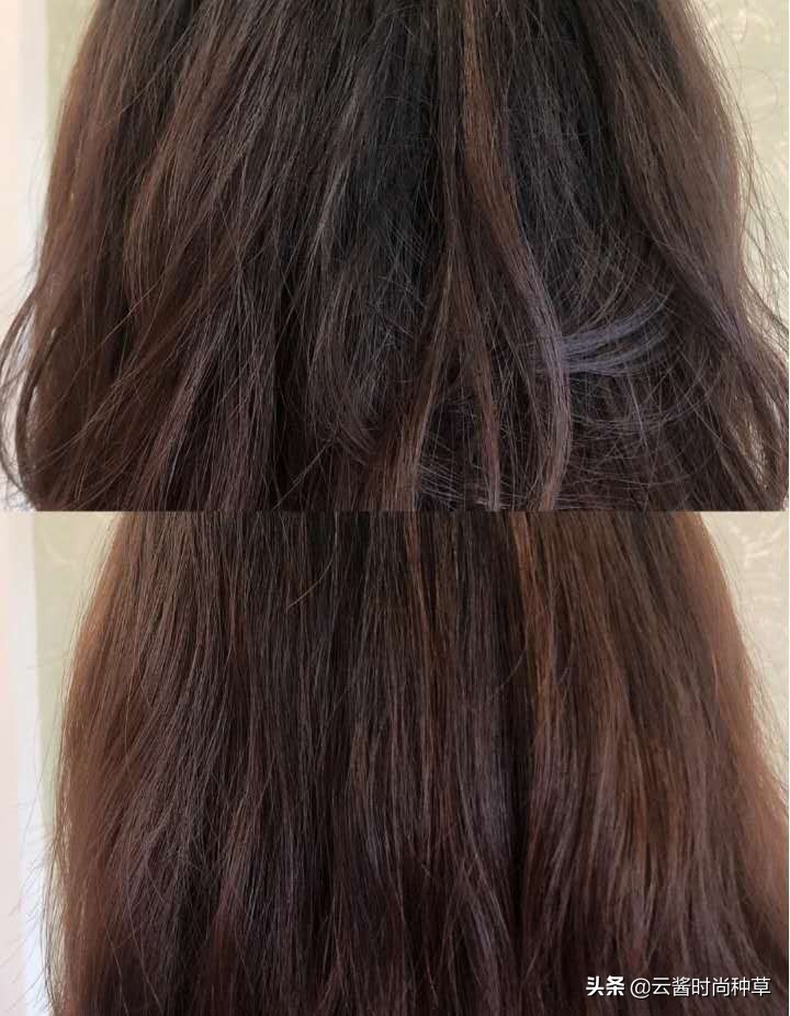 洗发水测评真实推荐红黑榜飘柔,洗发水推荐控油蓬松真实测评沙宣