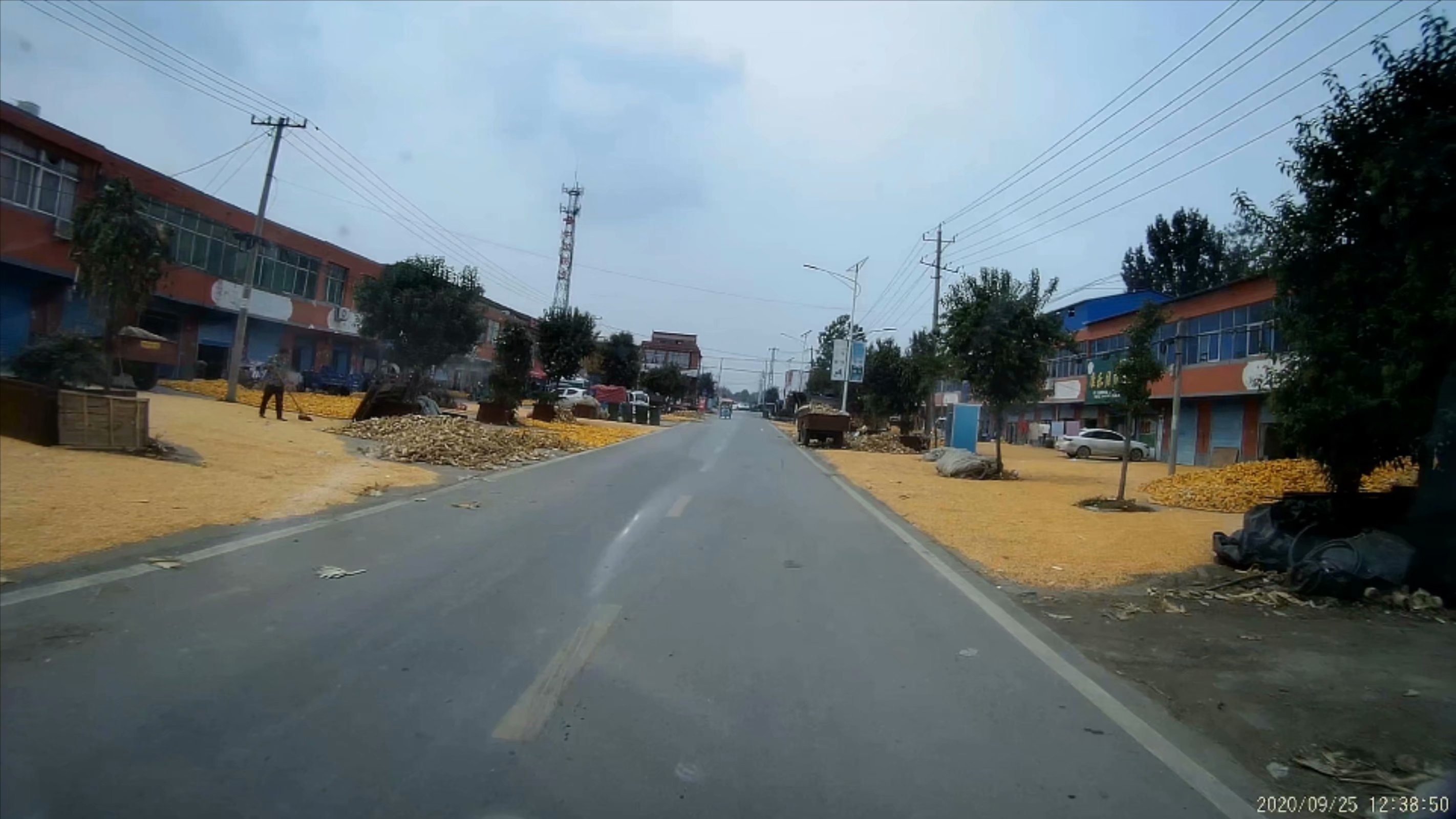 俞伯牙墓为什么在固镇,俞伯牙墓出土