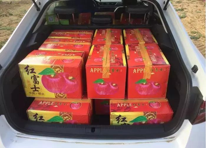 斯柯达速派十大忠告,斯柯达速派到底好不好