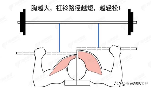 增肌和力量举训练的区别,力量举训练可以把肌肉练大吗