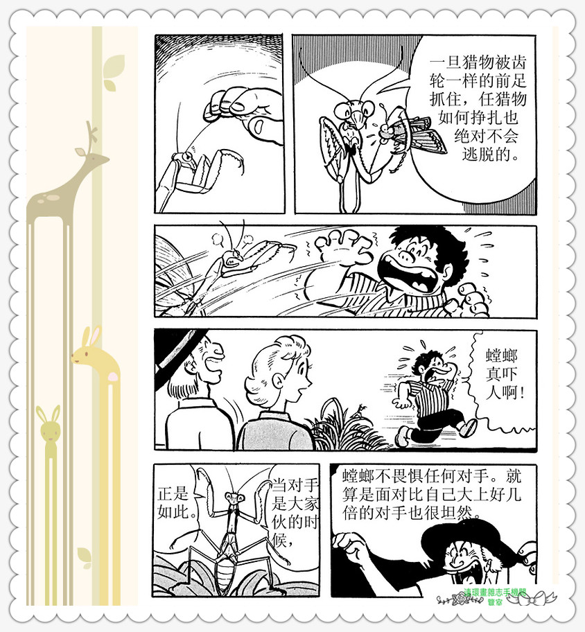 昆虫记法布尔正版全集,昆虫记法布尔阅读答案