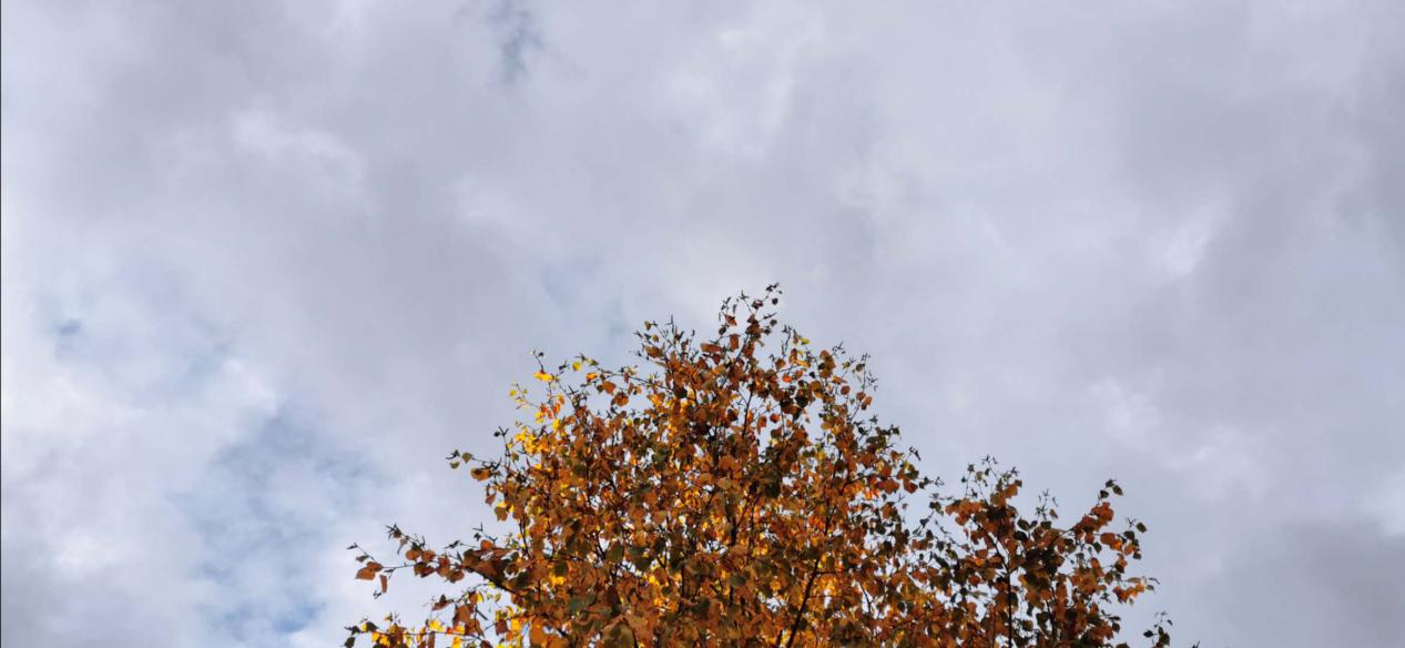 四姑娘山大峰登顶感受,四姑娘山二峰绝望坡有绳索吗