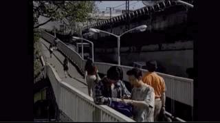 福建中药片仔癀,国产最好的药片仔癀