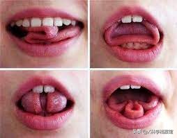 让你大开眼界的生物视频,大开眼界的新物种