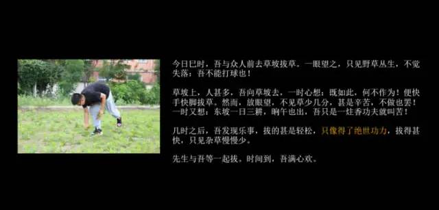 期末庆典〡诗酒趁年华:读写起来,讲玩起来,串烧起来,演唱起来