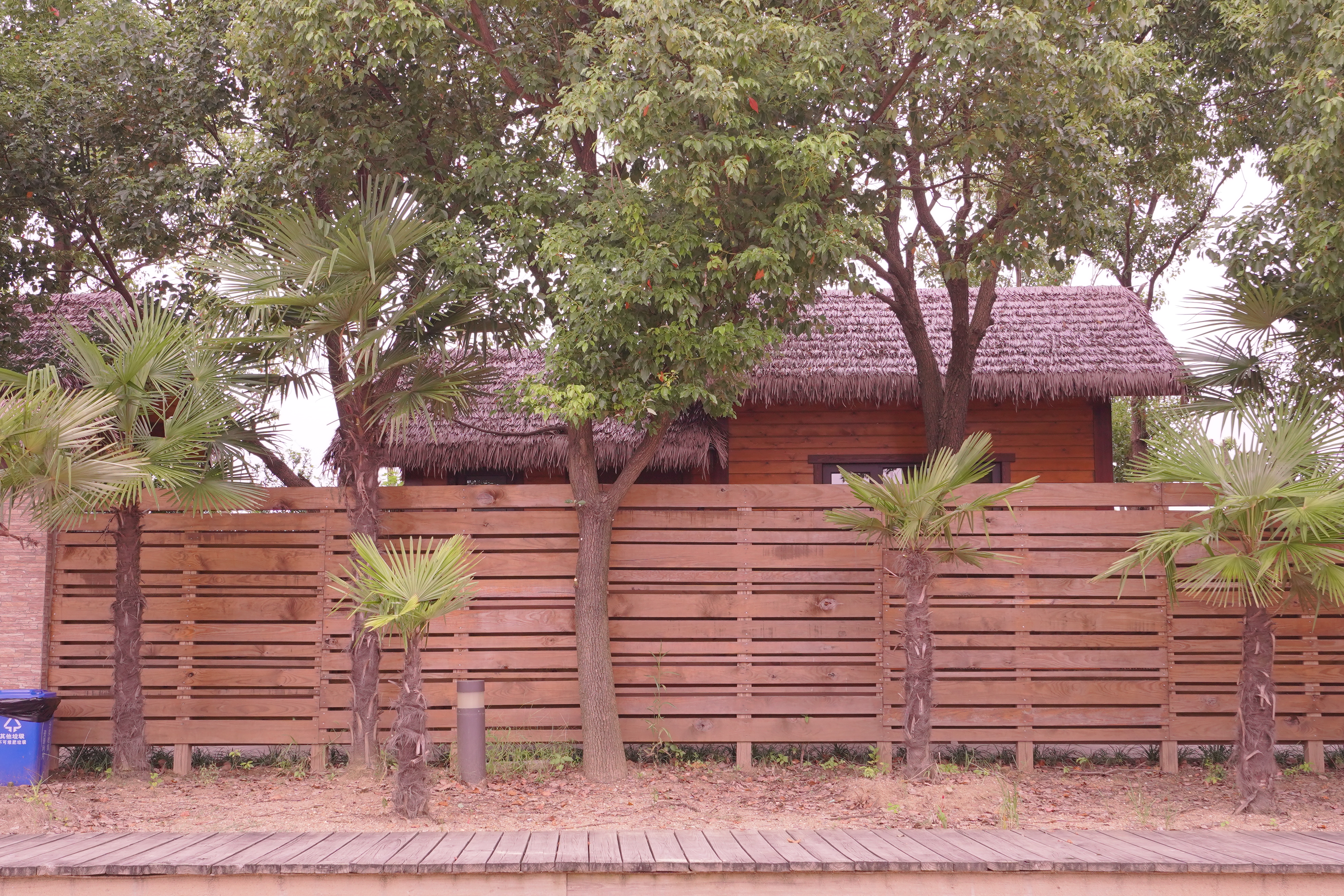 苏州沙滩景区门票,苏州海边沙滩旅游景点最值得推荐