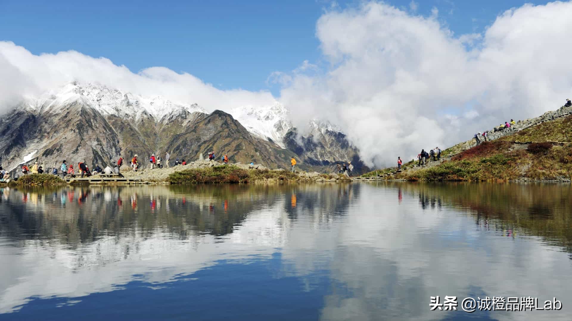 乡村内生活力,乡村发展的活力表现在诸多方面