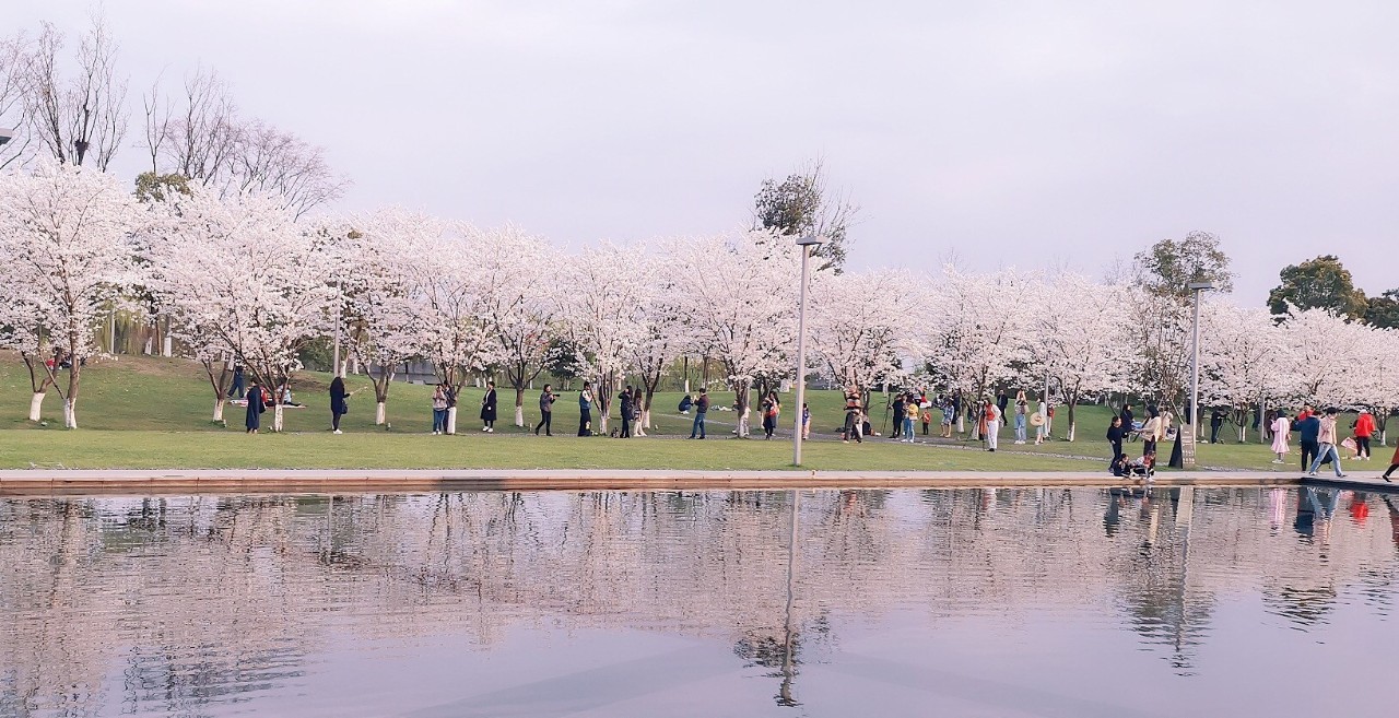 这是高晓松送给杭州的礼物，实名羡慕杭州市民!