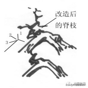 名师讲堂节选视频,名师课例分享及研讨交流