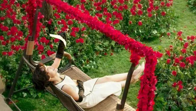 “捞女”《喜宝》未能翻盘，改编脱离了亦舒的小说精髓，爱不纯粹