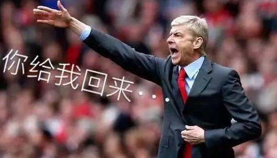 厄齐尔会造成什么损失,厄齐尔付出了什么代价