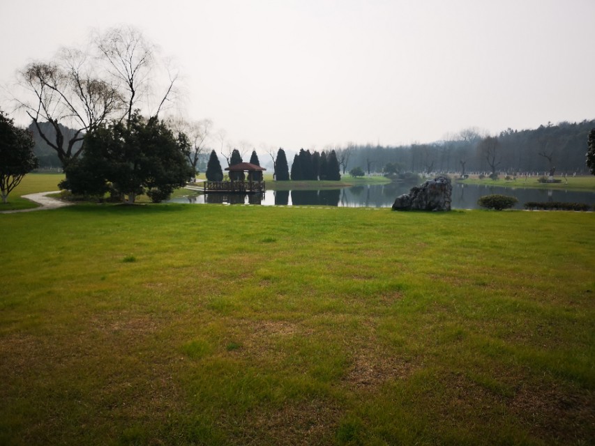 宜兴竹海游和龙背山森林公园游记