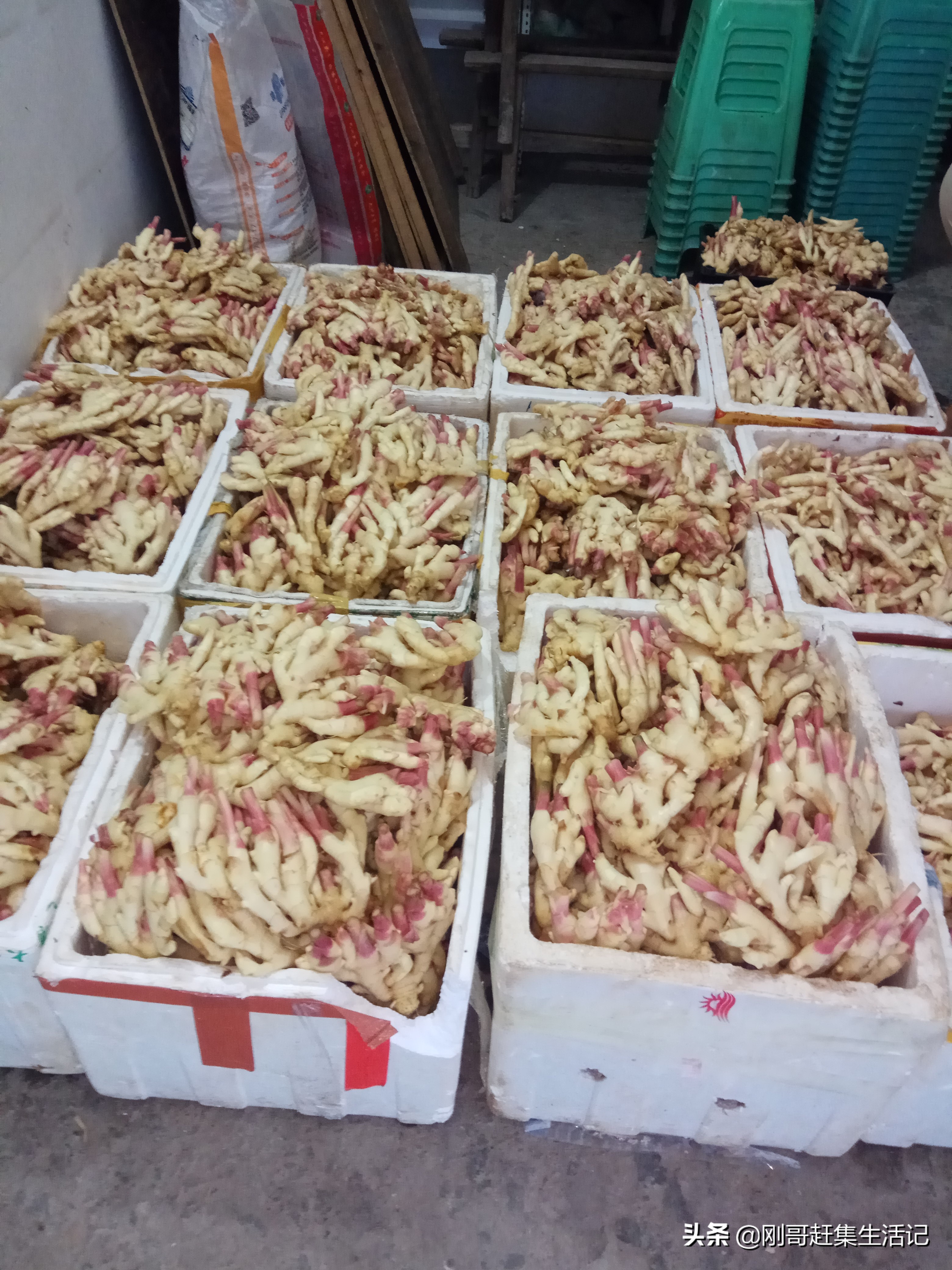 蔬菜进货渠道怎么找,开蔬菜水果店进货渠道怎么解决