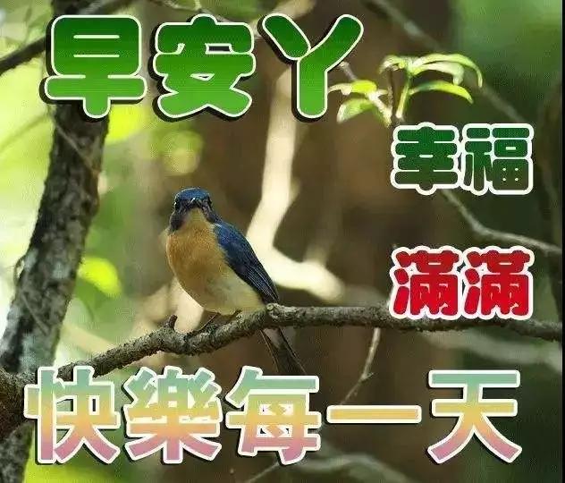 涓嶅繕鍒濆績蹇靛康涓嶅繕蹇呮湁鍥炲搷,蹇靛康涓嶅繕蹇呮湁鍥炲搷涓嶅繕鍒濆績