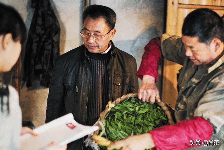 都说它是红茶中的黑马?