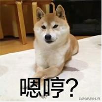 pdf文件密码正确解密方法,pdf文件如何解密