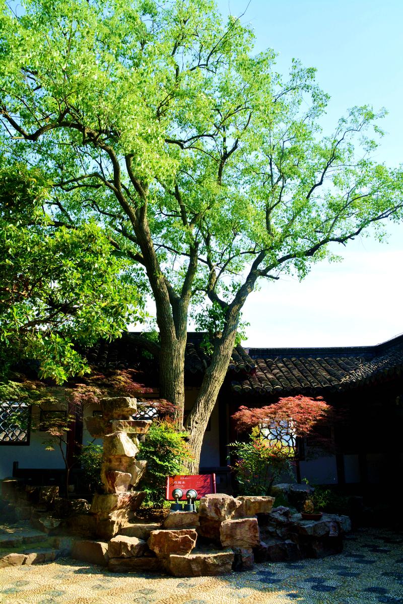 跟夏宁葆去穷游——镇江，扬州4天3晚自由行，人均花费550