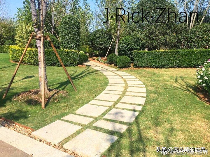 高尔夫果岭草坪家庭院子种植,麦冬草坪种植方法和注意事项