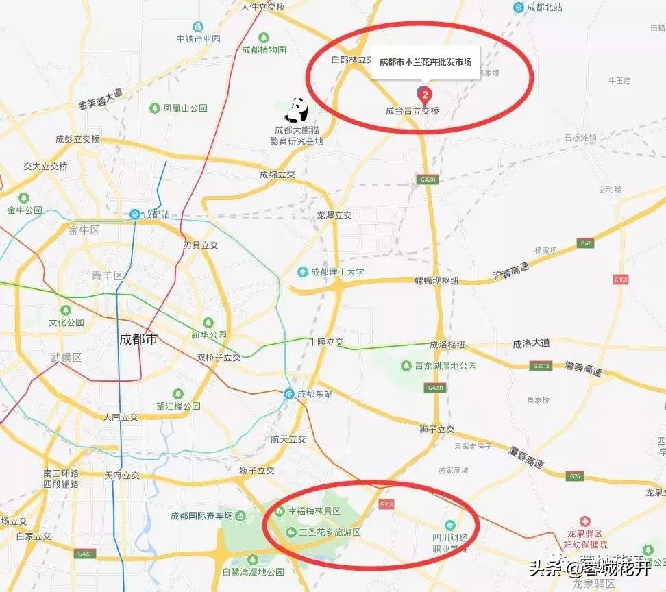 鍥涘窛钃夊煄鑺卞紑鑺卞競,钃夊煄鑺卞競