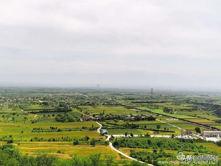 赴一场春日的邀约,五月赴一场与槐花的约会