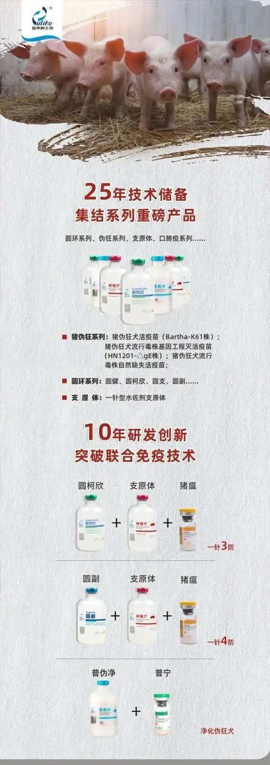 免疫联合治疗的优缺点,一针多防的猪用疫苗可靠吗