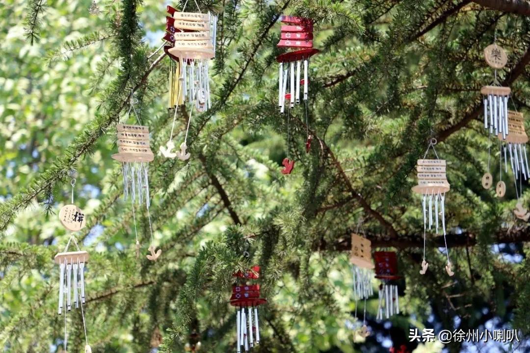 赏田园风光体验红色文化吃农家大锅灶徐州这个网红打卡地五一可约