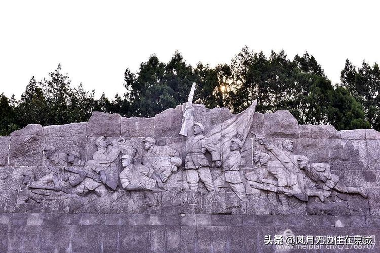 济南秋天的法国梧桐,济南一颗梧桐树