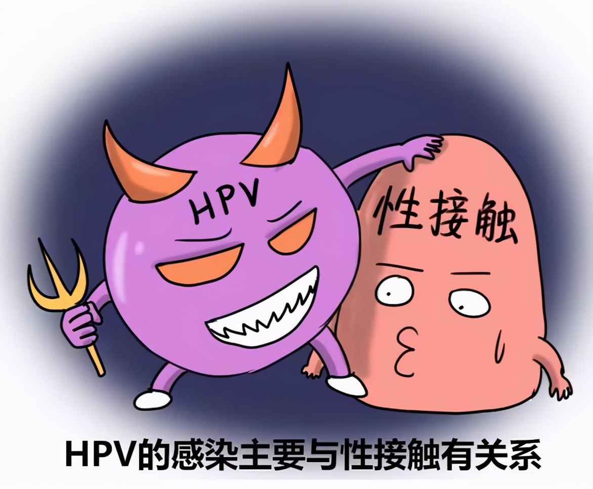 都安全小黄盒|感染了HPV，是X病吗？专家告诉你真相