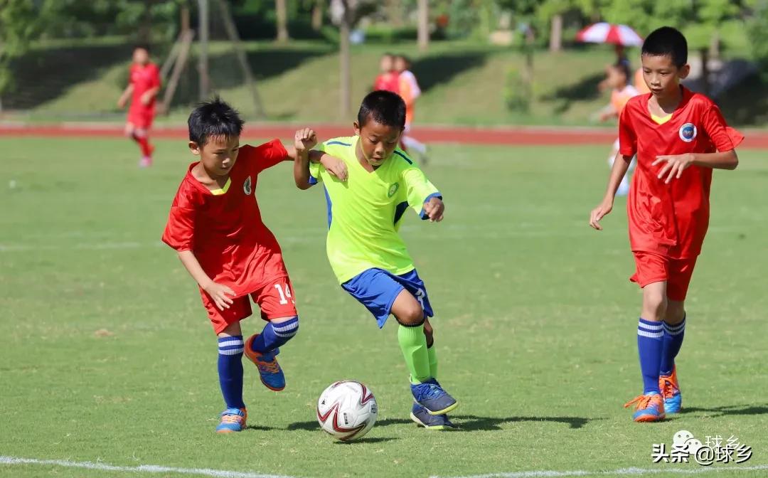 区中小学足球联赛,体教融合杯中学篮球赛